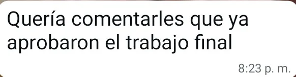 Mensaje de agradecimiento de un cliente por WhatsApp (3 de 20)
