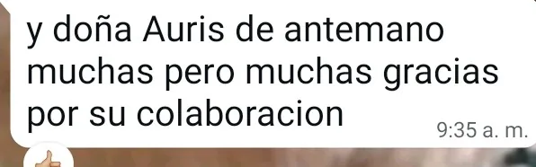 Mensaje de agradecimiento de un cliente por WhatsApp (6 de 20)