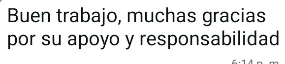 Mensaje de agradecimiento de un cliente por WhatsApp (8 de 20)