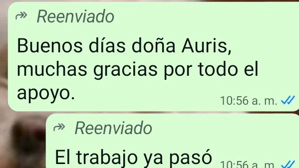 Mensaje de agradecimiento de un cliente por WhatsApp (9 de 20)