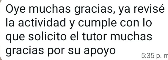 Mensaje de agradecimiento de un cliente por WhatsApp (17 de 20)