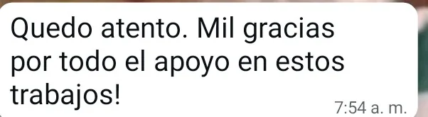 Mensaje de agradecimiento de un cliente por WhatsApp (18 de 20)