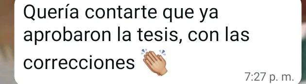 Mensaje de agradecimiento de un cliente por WhatsApp (19 de 20)